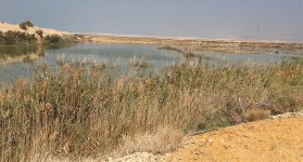 Israel - lot res3.jpg