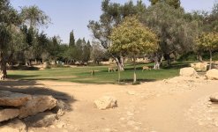 Israel - grounds of Ben Gurion.jpg