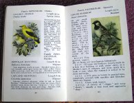 observers book of birds.jpg