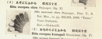 Momiyama, p.21.jpg