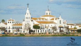 el rocio village doñana spain.jpg