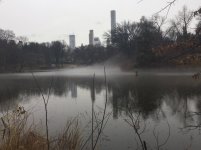 Mist on Central Park Lake.jpg