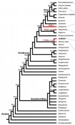 cladogram-AGB5841.jpg