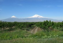 Ararat.jpg