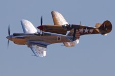 20180715 (22)_P40_Pair.jpg