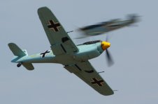 20180715 (57)_Buchon_Yellow_7.JPG