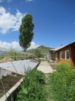 Spitak garden.jpg