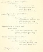 Lönnberg, E. 1907. Fauna och Flora, p.44.jpg