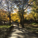 Walk, Central Park.jpg