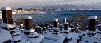 DSC03448 Yachigashira Port @ Hakodate.jpg