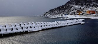 DSC03472 Cape Tachimachi @ Hakodate.jpg