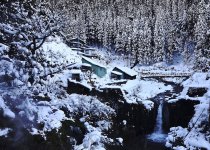 DSC03877 Snow Monkey Valley @ Nagano.jpg
