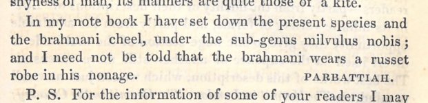 Milvulus, on p.183.jpg