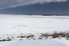 lake Kerkini and flooded forest.jpg