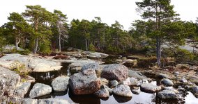 DSC04702 granite habitat @ Porkkala.jpg