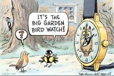 BigGardenBirdWatch.jpg