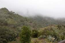 110-View-from-Bar-la-Carbonera,-La-Gomera-bforum.jpg