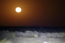 20190220 (28)_Moonlit_Desert.JPG