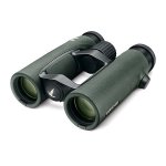 swarovski-el-swarovision-pro-8x32-green-binoculars-600sqr-1.jpg