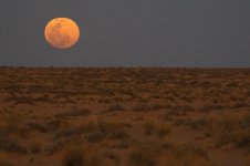 20190219 (34)_Sahara_Full_Moon.JPG