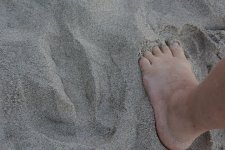 Cassowary feet 1s.jpg