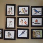 Some Birds  in Watercolor.jpg