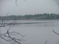 lake of menteith 1.JPG