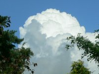 DS cumulus 1.jpg