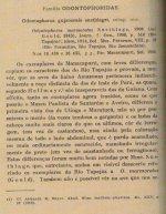 Revista do Museu Paulista XXIII, p.542.jpeg
