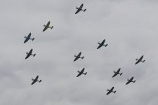 20190713 (81)_Spitfires.JPG