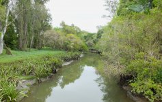 BF Creek at Minnippi Park thread.jpg