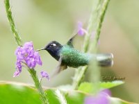 Hummer q3 P1130249.JPG