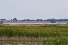 1st pond - full panorama.jpg