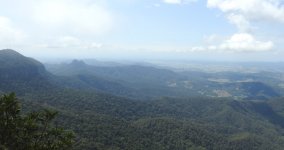 BF Mt Cougal and New South Wales thread.jpg