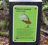 BF Albert's Lyrebird sign thread.jpg