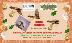 Christmas Cheeky Monkeys Flyer.jpg