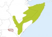 Somali B-E.jpg