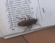 BF Cockroach thread.jpg