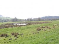 a Rudyard Heron's Marsh looking West  340307.jpg