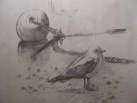 Bouy&Gull.jpg