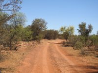 BF A typical Bowra Trail thread.jpg