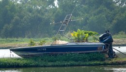 DSC00019 Starling speedboat @ San Tin.jpg