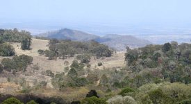 BF View from Bunya Mountains thread.jpg