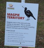 BF Aus Magpie thread.jpg