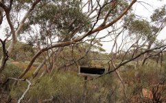 BF Water trough view Emu Hide thread.jpg