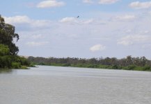 BF Murray River view thread.jpg