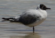 2017L8_Uyuni1_034.jpg