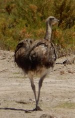 2017L8_Uyuni2_151.jpg