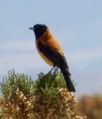 2017L8_Uyuni2_150.jpg