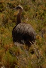 2017L8_Uyuni2_152.jpg